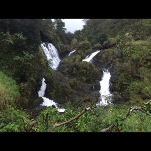 Meet your Posher, Regular